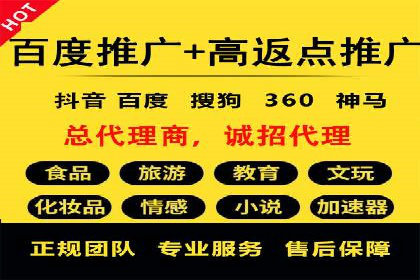 SEM广告投放案例：打造品牌影响力